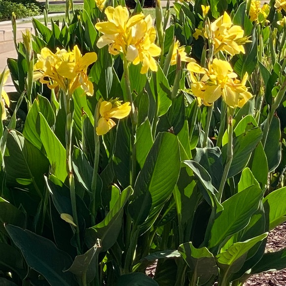 Meet your Posher - Picture 6 of 6